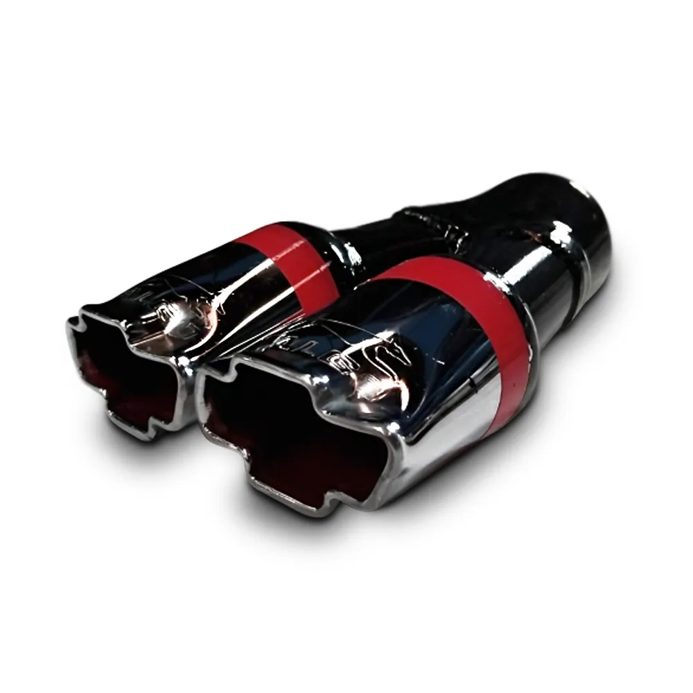 Terminal dual de Chebrolette